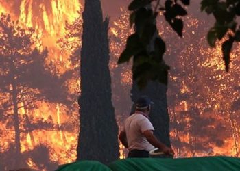 تركيا.. 5 حرائق مستمرة في غابات موغلا