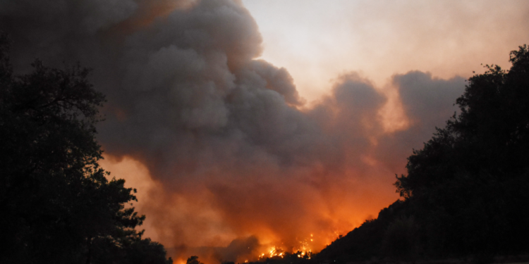 تركيا.. عمدة بلدية: النيران تتوسع في موغلا “عار عليكم.. أكاد أبكي”