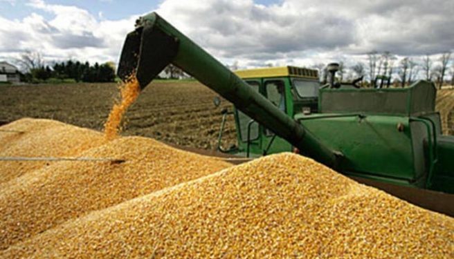 ارتفاع واردات تركيا الزراعية من روسيا 17%