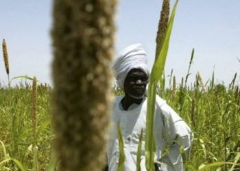 السودان يمنح تركيا حق تشغيل 100 ألف هكتار من أراضيه الزراعية
