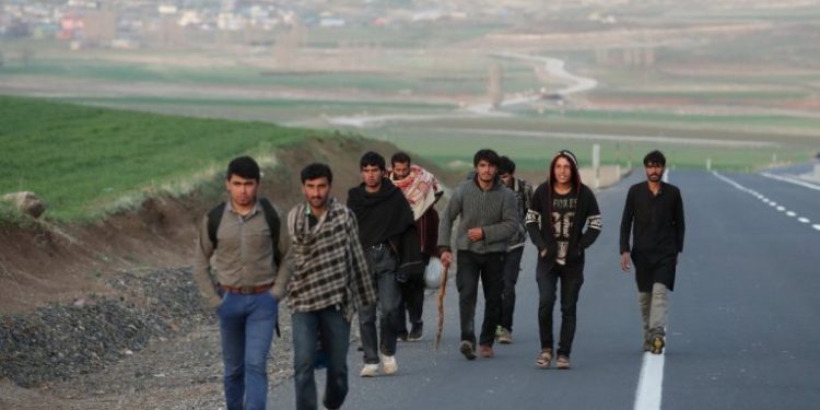 استطلاع رأي: 67% من الأتراك يرفضون استقبال المهاجرين