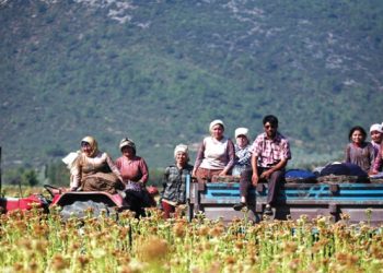 ارتفاع قياسي بتكلفة المنتجات الزراعية في تركيا