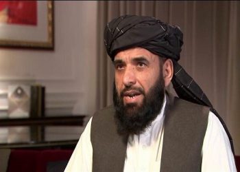 حركة طالبان توضح موقفها من تركيا