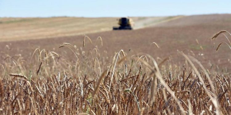 صفعة للمزارعين في تركيا بقرار رئاسي