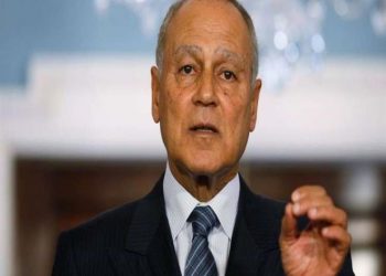 أبو الغيط يبحث مع المنفي مستجدات الأوضاع في ليبيا