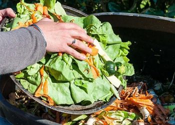 تركيا الثالثة عالميا في إهدار الطعام