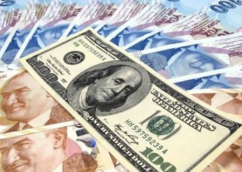 اقتصاديون أتراك: الحزب الحاكم يضحي بالليرة لأجل الانتخابات