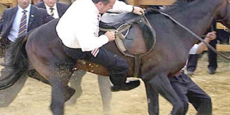 مجلة أمريكية: الاقتصاد التركي يقوده راعي بقر مخمور!