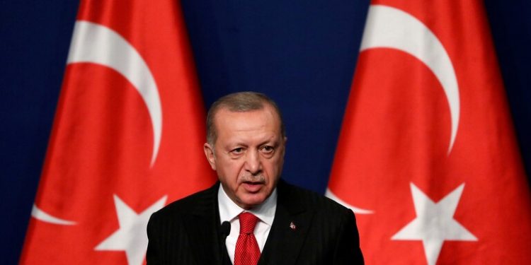 أردوغان يكشف عن حجم استثمارات تركيا في القارة الإفريقية