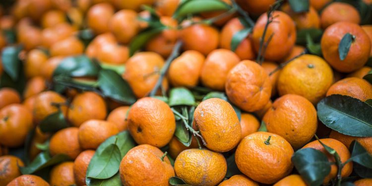 هل تعاقب روسيا تركيا بحظر استيراد اليوسفي؟