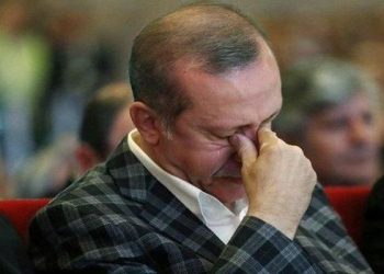 رجل أردوغان يهرب ملايين الدولارات إلى “فيرجن” البريطانية