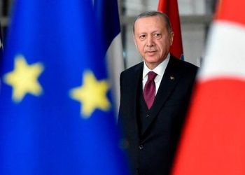 نواب هولندا: أردوغان فقد عقله!