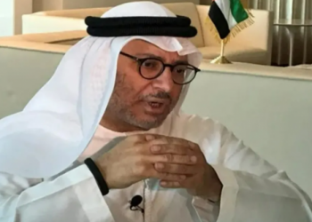 مسئول إماراتي يتحدث عن العلاقات مع تركيا