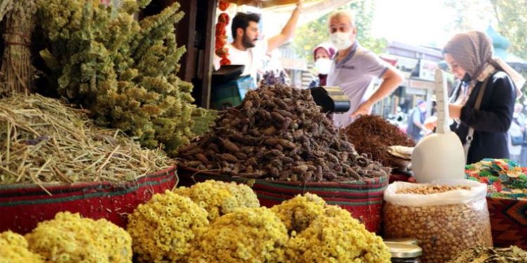 ارتفاع سعر شاي الأعشاب في تركيا من 100 إلى 300 ليرة