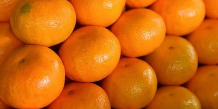 أوروبا ترفض شحنات فاكهة تركية بسبب مبيدات ضارة