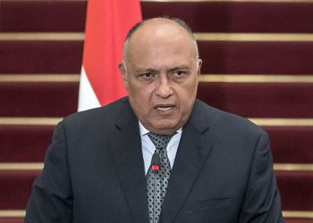 مصر تنتقد تدخلات تركيا في الدول العربية واحتضان الإخوان