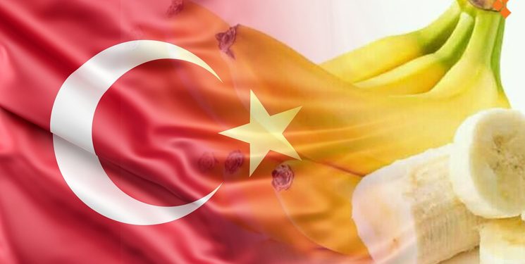 تركيا تواصل إجراءات ترحيل السوريين بجريمة “الموز”!