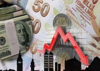 المعارضة التركية تدعو لانتخابات مبكرة بعد انهيار قيمة الليرة