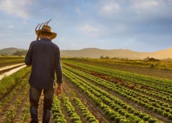 تراجع أعداد المزارعين في تركيا