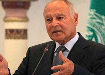 أبو الغيط يدعو الأطراف الصومالية الي الحوار للتعامل مع خلافاتهم