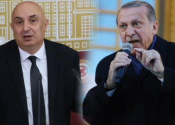 أردوغان يرفع دعوى قضائية ضد سياسي معارض