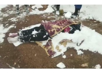 أفغانية تتجمد حتى الموت على الحدود التركية