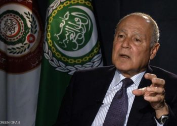 أبو الغيط: استقرار المنطقة يتطلب مسار سياسي يسمح بتسوية القضية الفلسطينية