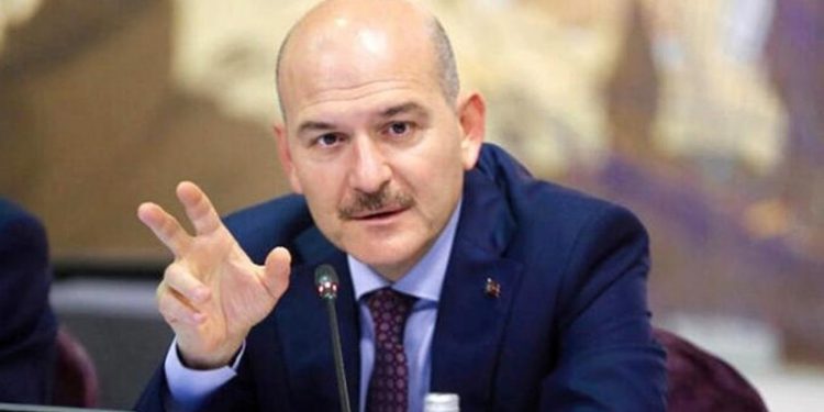 الإعلان عن عدد السوريين الحاصلين على الجنسية التركية