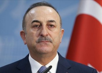 استعدادا لزيارةهرتسوغ.. وزير خارجية تركيا يتباحث مع نظيره الإسرائيلي