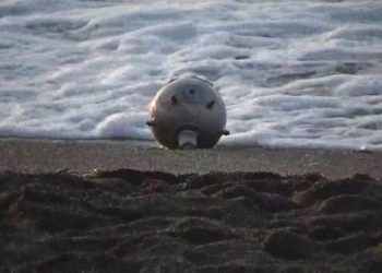 أنشطة الشحن في غرب البحر الأسود معرضة لخطر داهم