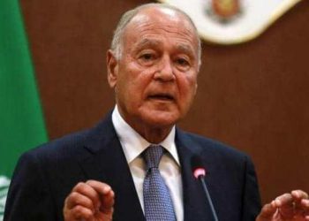 أبو الغيط: يطالب المجتمع الدولي بالتعامل مع كافة القضايا دون تمييز