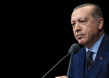 بقرار رئاسي.. تركيا تعفي الواردات الزراعية الأوكرانية