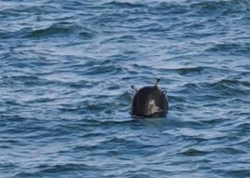 لغم بحري في مياه تركيا الإقليمية بالقرب من بلغاريا