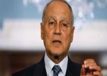 أبو الغيط يشدد على أهمية الحل السياسي في اليمن