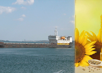 روسيا تسمح بعبور سفينة محملة بزيت عباد الشمس إلى تركيا