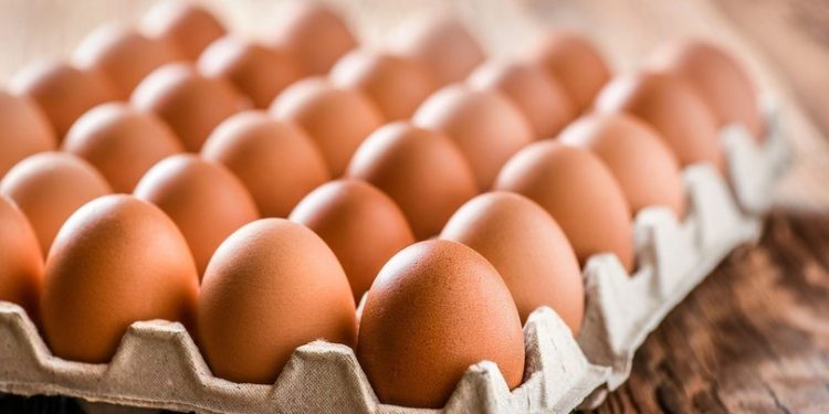 تركيا على موعد مع ارتفاع أسعار البيض