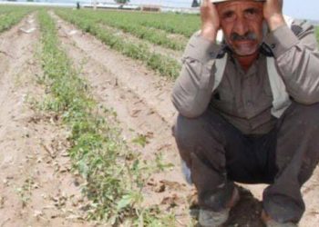 تركيا.. تضاعف عدد الأراضي الزراعية المرهونة بسبب ديون مالكيها