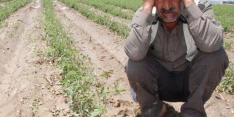 تركيا.. تضاعف عدد الأراضي الزراعية المرهونة بسبب ديون مالكيها