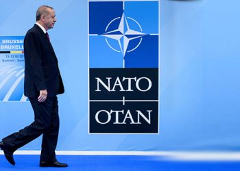 سيناتور كندي يقترح طرد تركيا من حلف الناتو