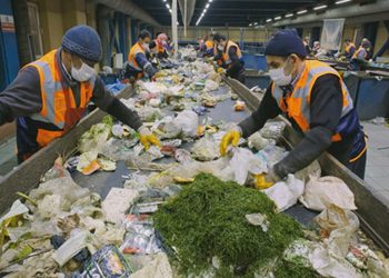 7.7 مليون طن من الغذاء يهدر سنويًا في تركيا