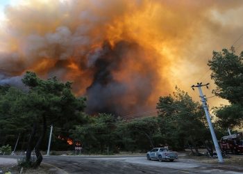 الرئيس أردوغان يعلن السيطرة على الحرائق المندلعة في “موغلا”