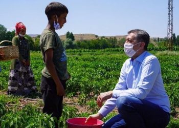 571 طفلاً عاملاً فقدوا حياتهم في تركيا