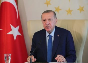 هل يدعو أردوغان في 15 يوليو لانتخابات مبكرة؟