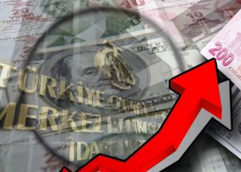 الدولار يواصل تحطيم الأرقام القياسية في تركيا