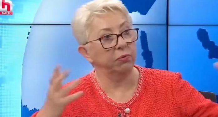 سياسية تركية: المعارضة قادرة على الفوز بدعم 65٪ من الأتراك بشرط