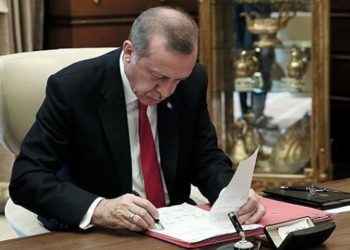 متروبول: أردوغان يخطط لعقد انتخابات مبكرة الخريف القادم