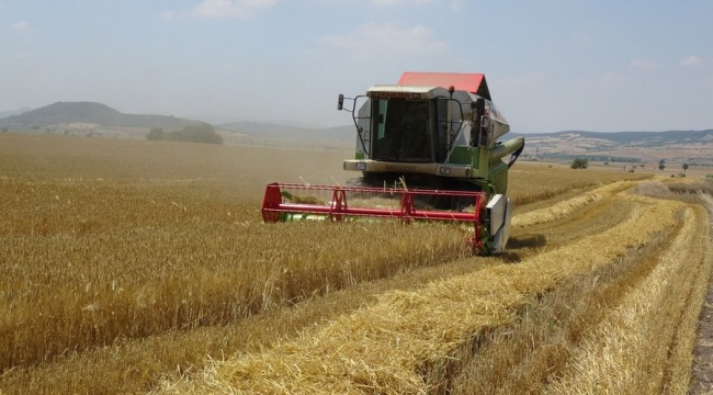 تركيا.. 117% زيادة سنوية بأسعار المدخلات الزراعية