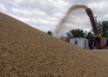 تركيا تعلن انتهاء محادثات “إسطنبول” بشأن الحبوب الأوكرانية