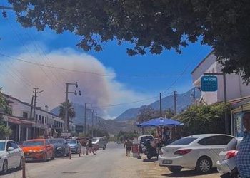 عشرات الإصابات بحرائق الغابات في منتجع تركي في ولاية “موغلا” التركية