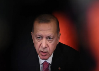 استطلاع رأي يكشف عدم ثققة الألمان في تركيا تحت إدارة أردوغان